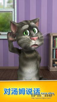 汤姆猫说话视频,萌态百出，趣味横生