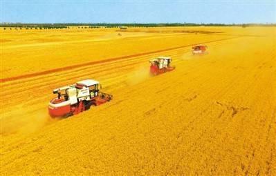 2017夏收视频,丰收画卷里的中国农业新篇章