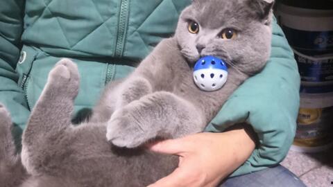 草撸视频,揭秘短视频制作背后的创意与技巧