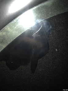 怎样划玻璃视频教程,视频教程教你如何安全划玻璃