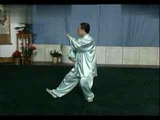 太极拳24式背向视频