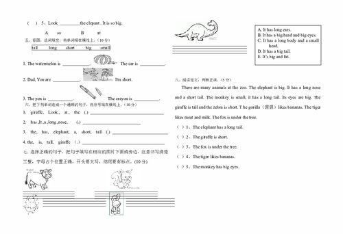 三年级上册英语第三单元视频,快乐学习之旅