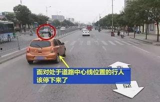 礼让行人视频,文明交通新风尚