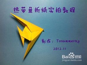 折热带鱼的视频教程,跟随视频学习制作技巧