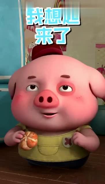 豆豆猪视频,萌宠日常，欢乐无限