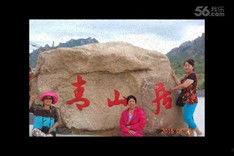 牛配牛的视频放一下,一场别开生面的牛群互动盛宴