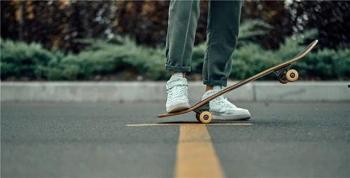 大鱼板视频,揭秘海洋生物的奇幻世界