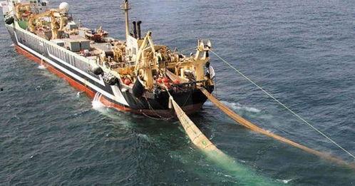 灯光渔船捕鱼全部视频,科技助力海洋捕捞新篇章