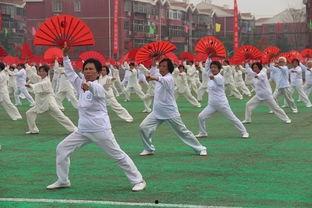 回踢教学视频,跟随教学视频轻松掌握足球技巧